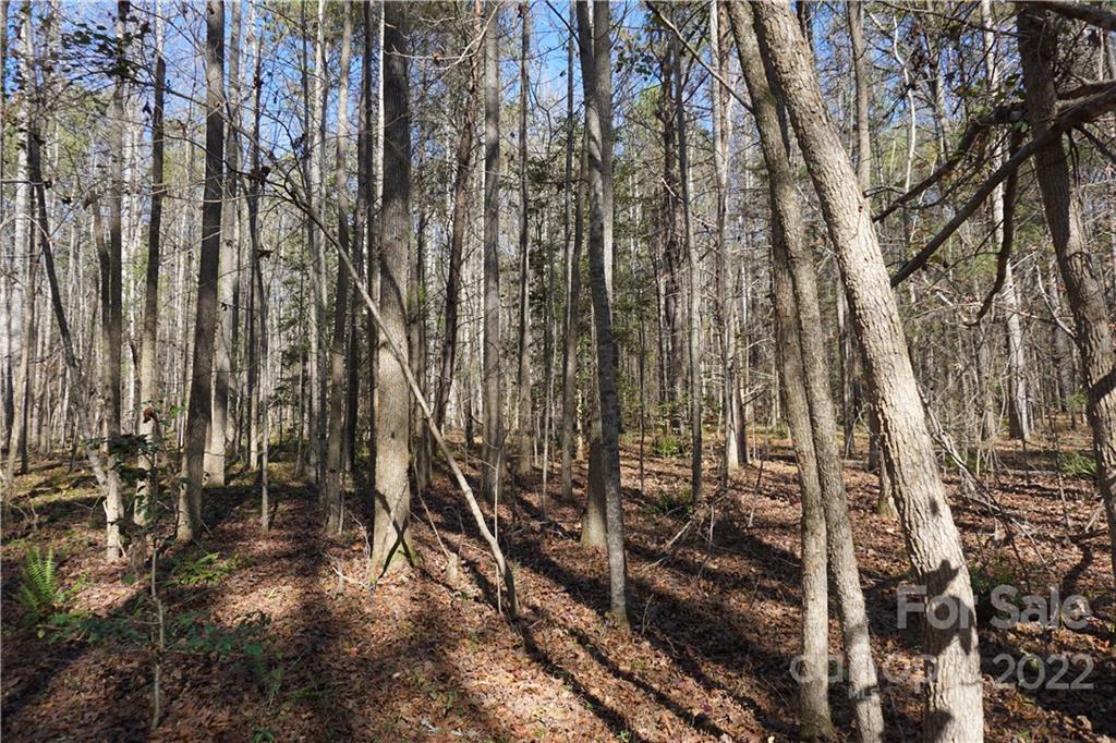 10.64 Ac Burree Road 6 Property Photo 13