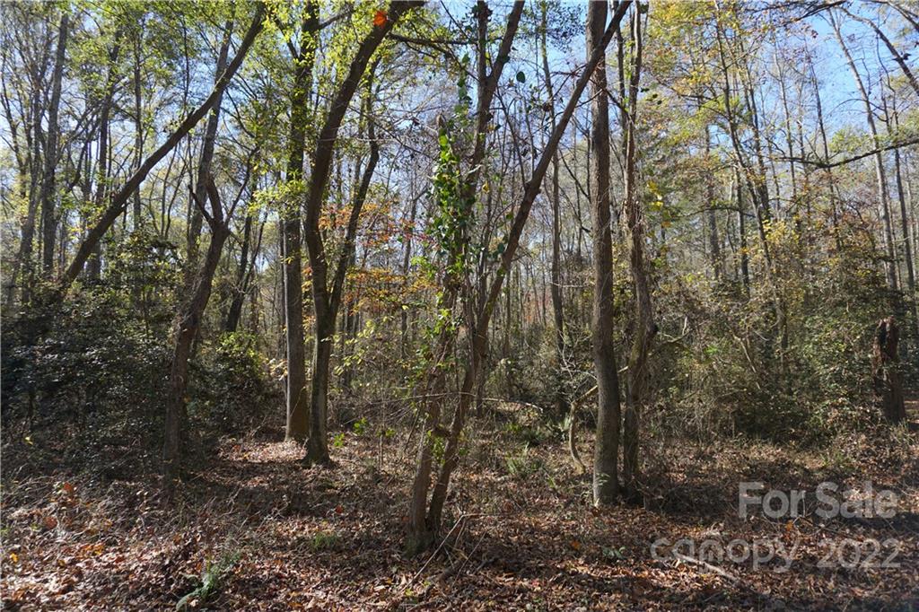 10.64 Ac Burree Road 6 Property Photo 14