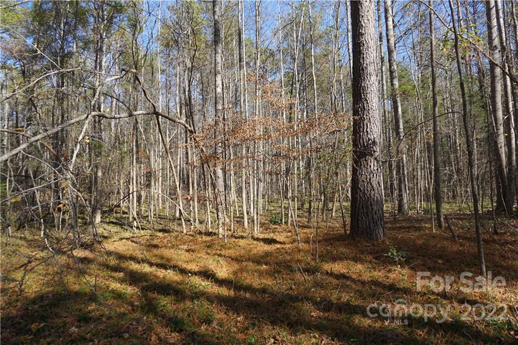 10.64 Ac Burree Road 6 Property Photo 15