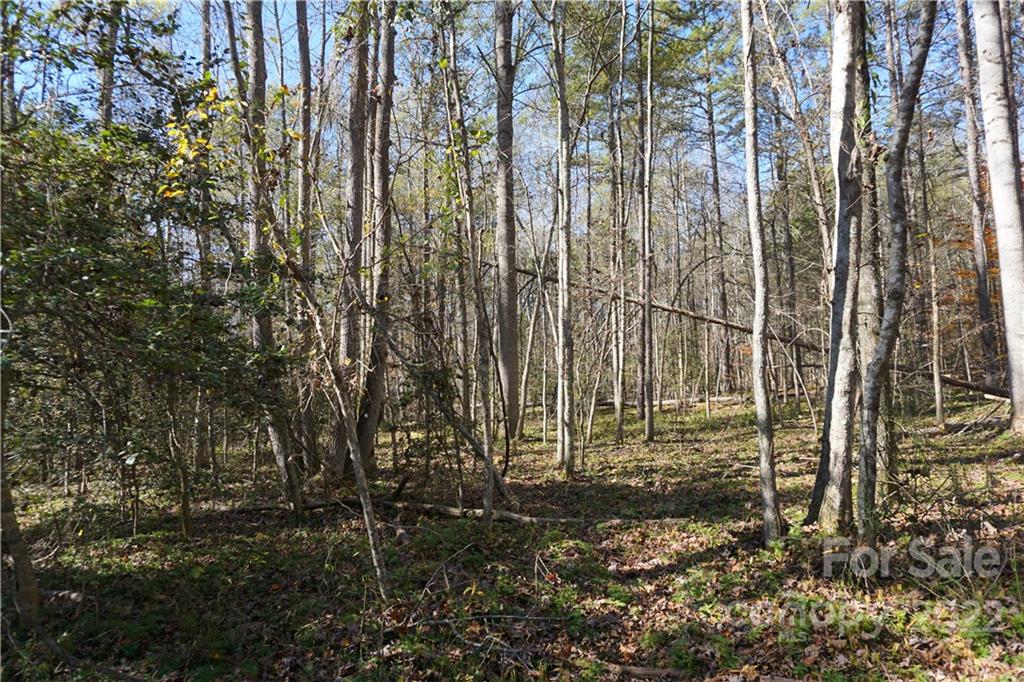 10.64 Ac Burree Road 6 Property Photo 17
