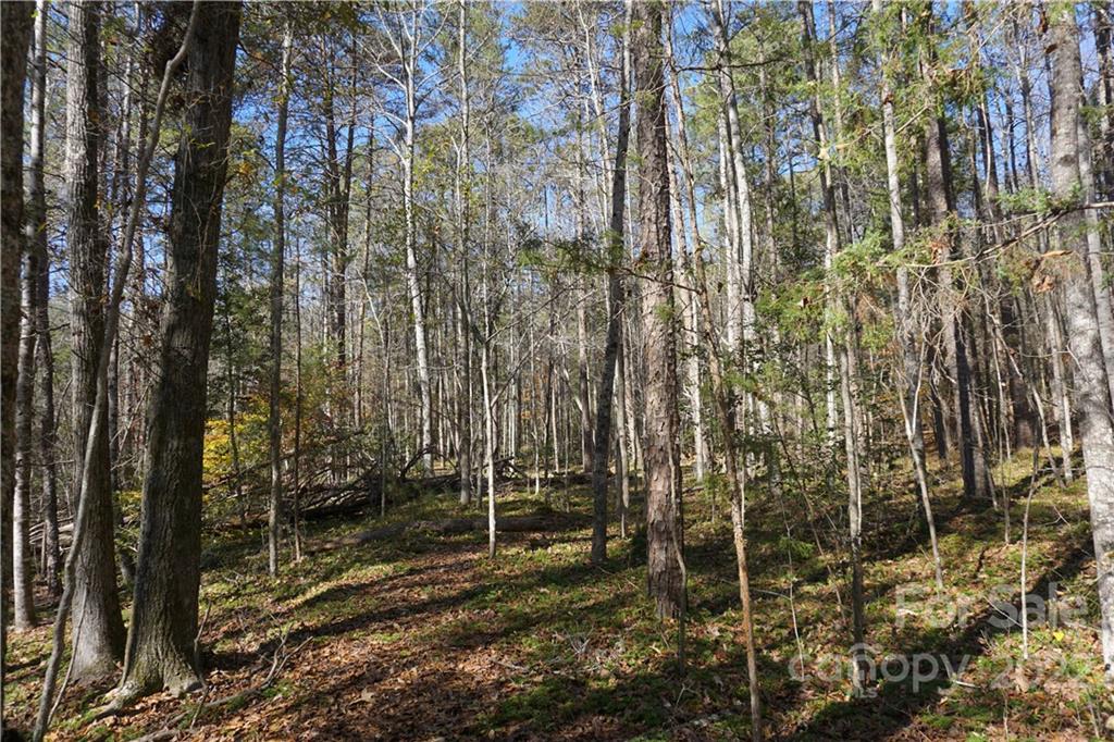 10.64 Ac Burree Road 6 Property Photo 18