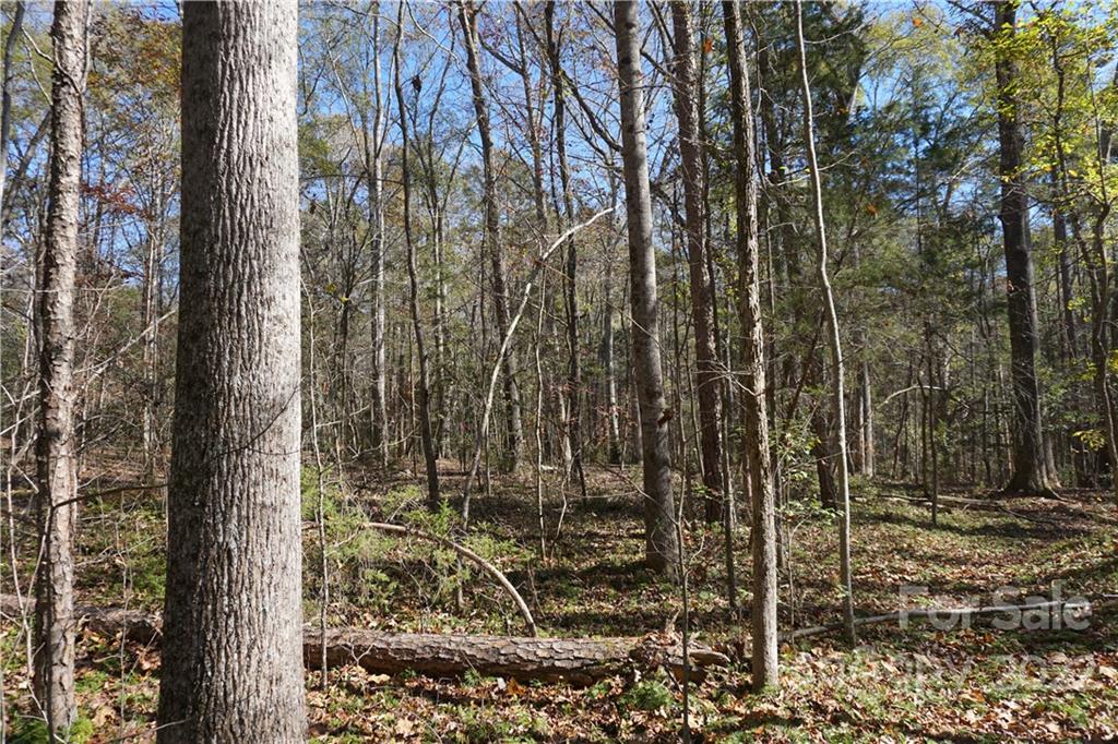 10.64 Ac Burree Road 6 Property Photo 19