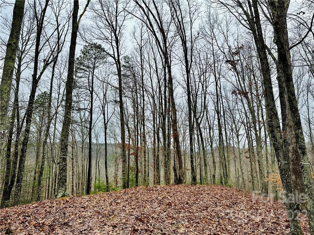 921 Wild River Run 33 Property Photo 1
