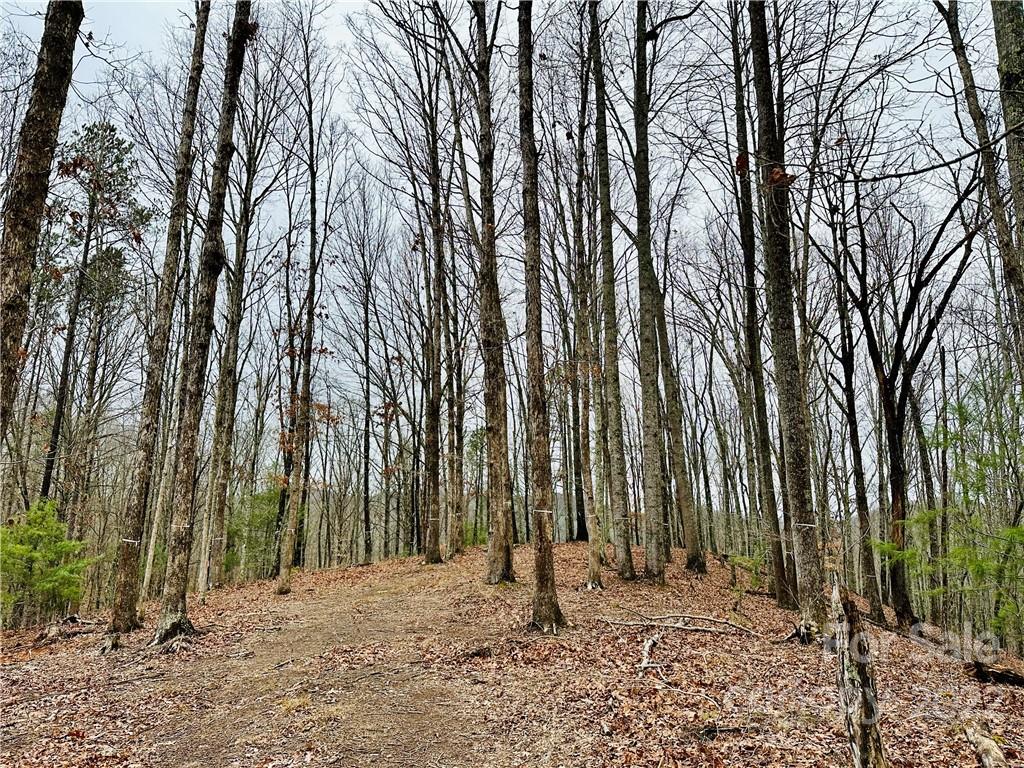 921 Wild River Run 33 Property Photo 2