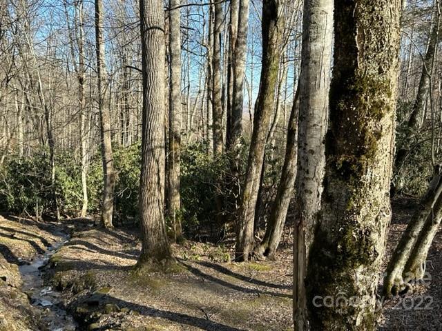 6 Friar Tuck Lane 19 Property Photo 1