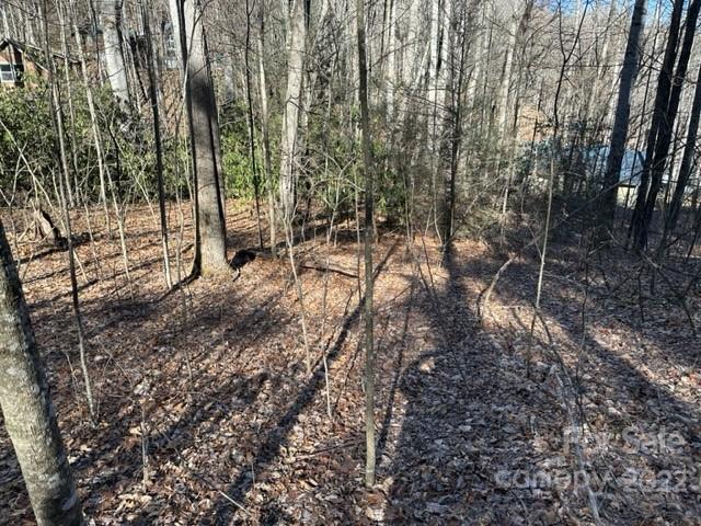 6 Friar Tuck Lane 19 Property Photo 9