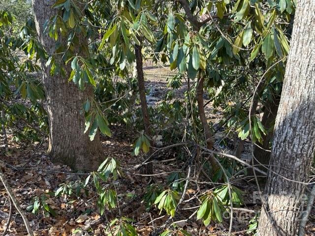6 Friar Tuck Lane 19 Property Photo 11