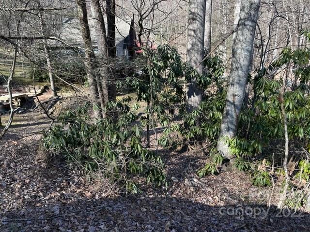 6 Friar Tuck Lane 19 Property Photo 14