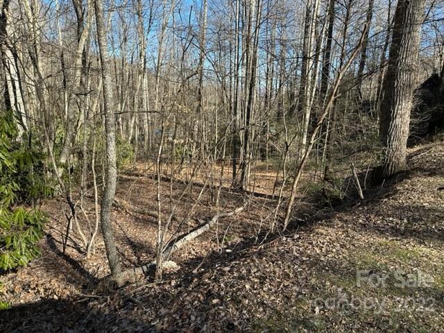 6 Friar Tuck Lane 19 Property Photo 16