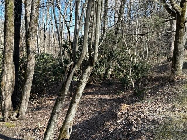 6 Friar Tuck Lane 19 Property Photo 19