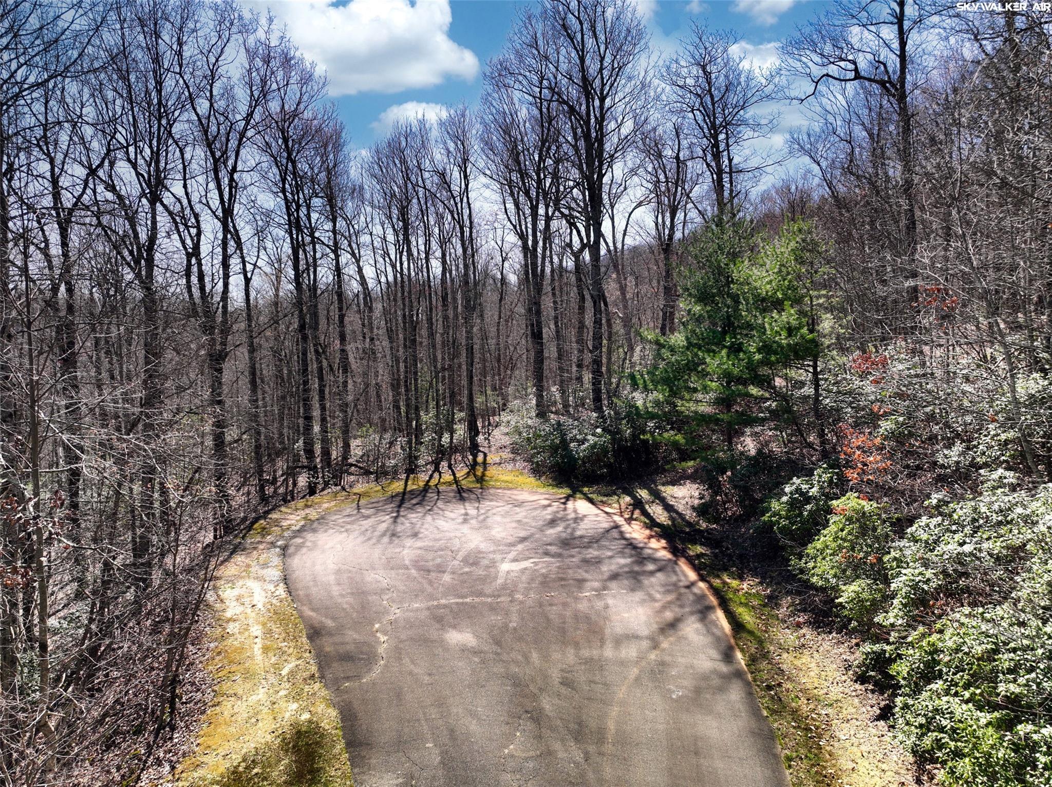 4.17 Acres Spruce Lane 28 Property Photo 5