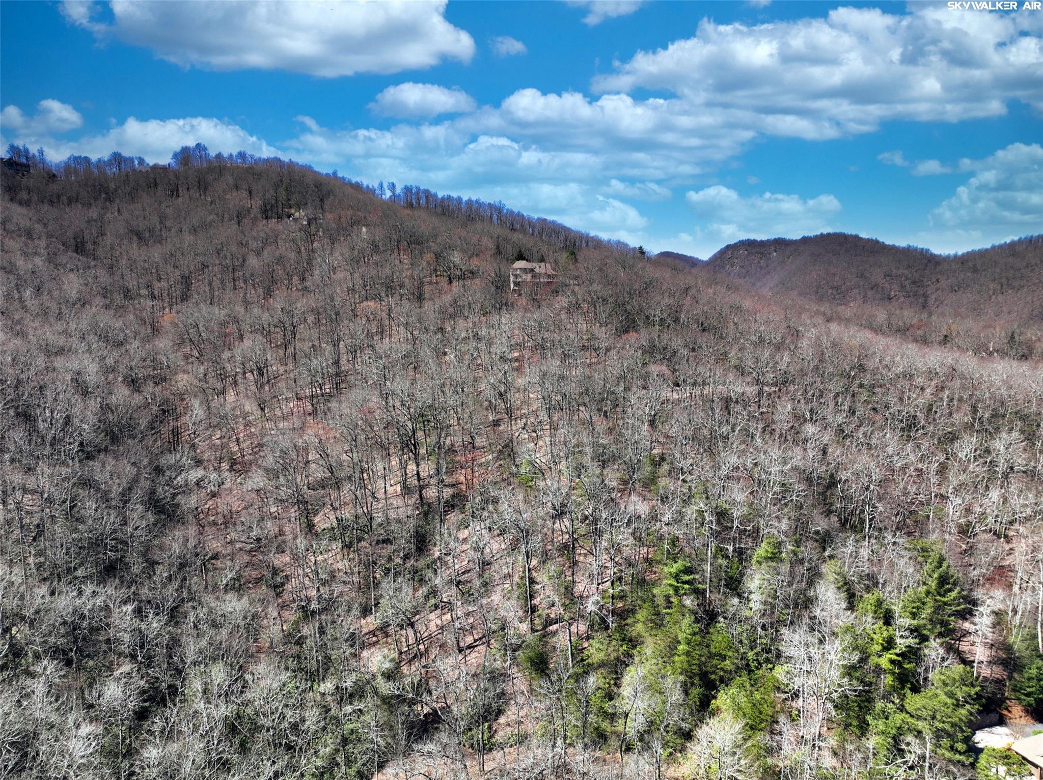 4.17 Acres Spruce Lane 28 Property Photo 17