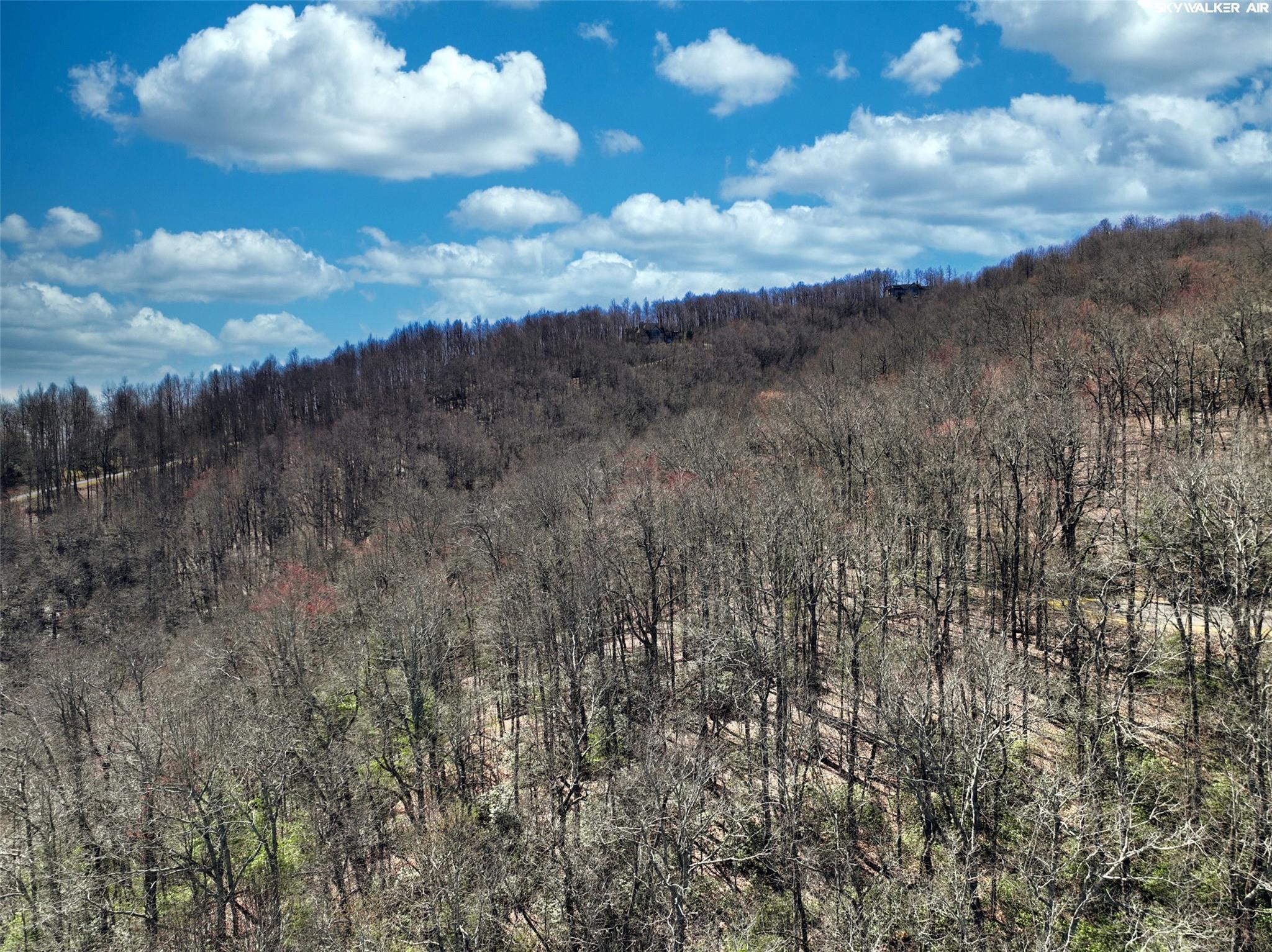 4.17 Acres Spruce Lane 28 Property Photo 18