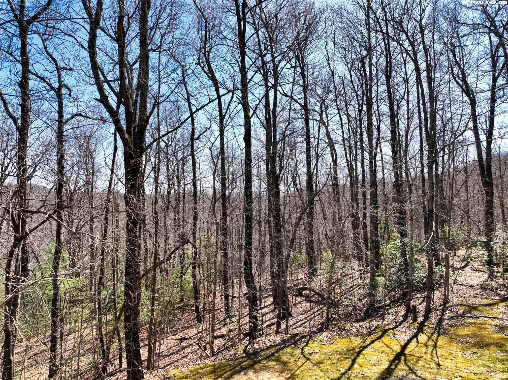 4.17 Acres Spruce Lane 28 Property Photo 19