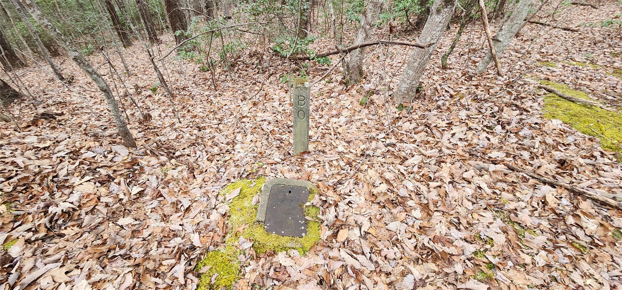 4.17 Acres Spruce Lane 28 Property Photo 23