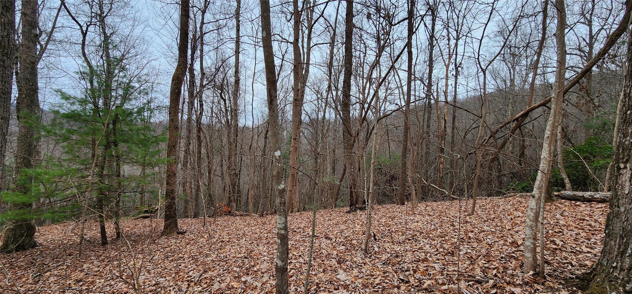 4.17 Acres Spruce Lane 28 Property Photo 24