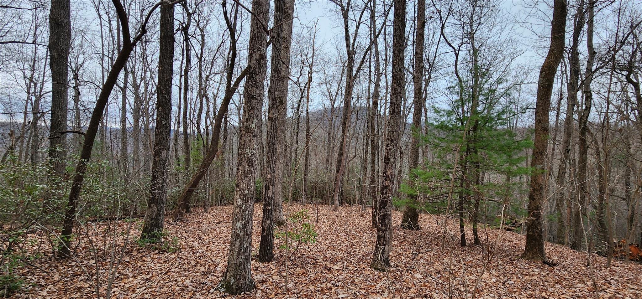 4.17 Acres Spruce Lane 28 Property Photo 25