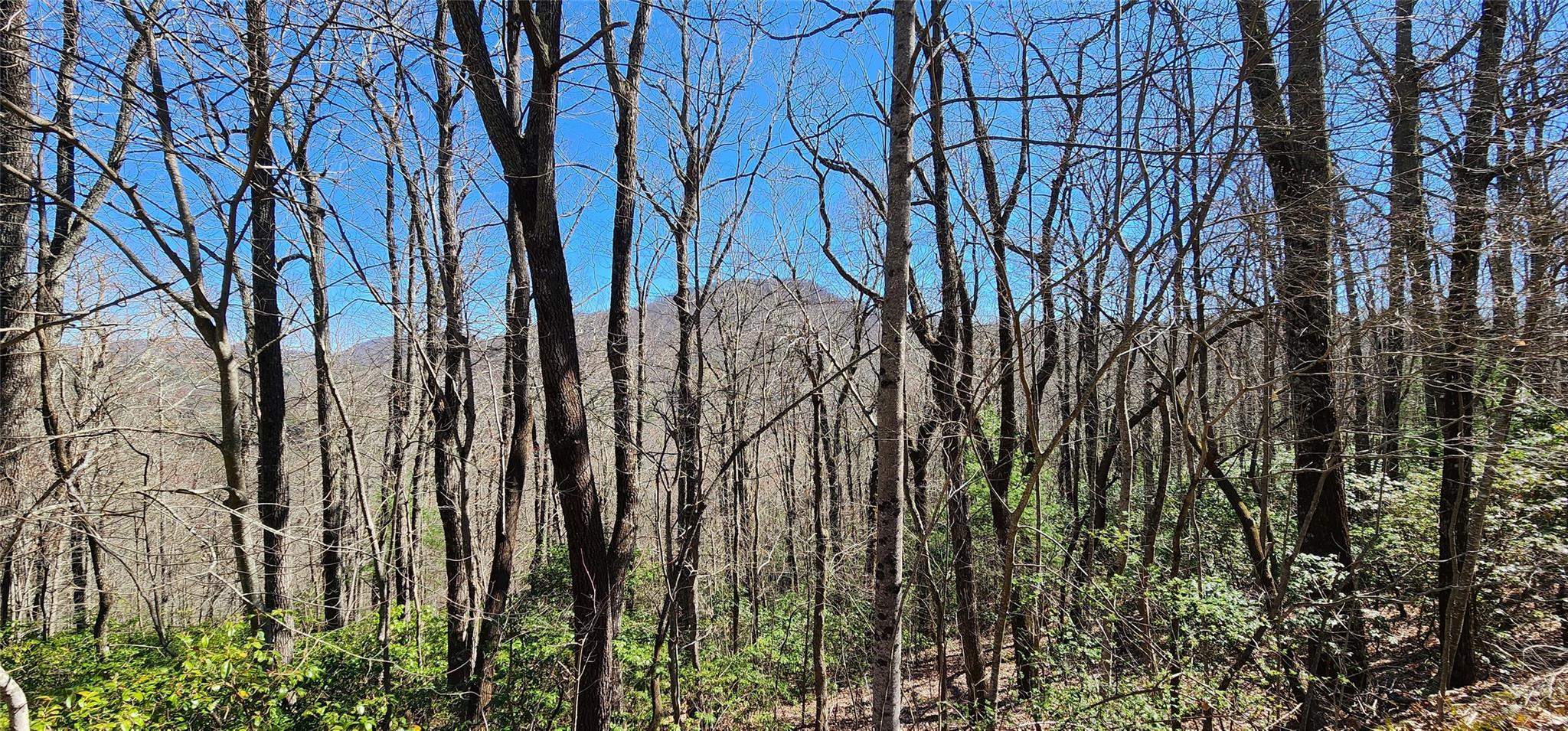4.17 Acres Spruce Lane 28 Property Photo 26