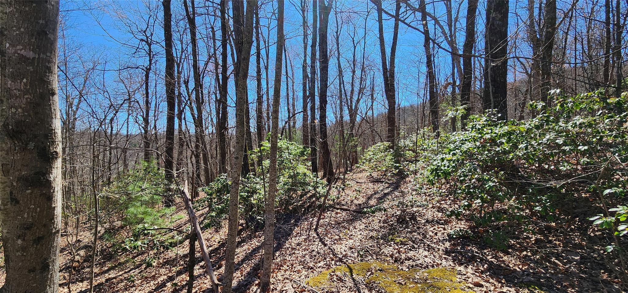 4.17 Acres Spruce Lane 28 Property Photo 27
