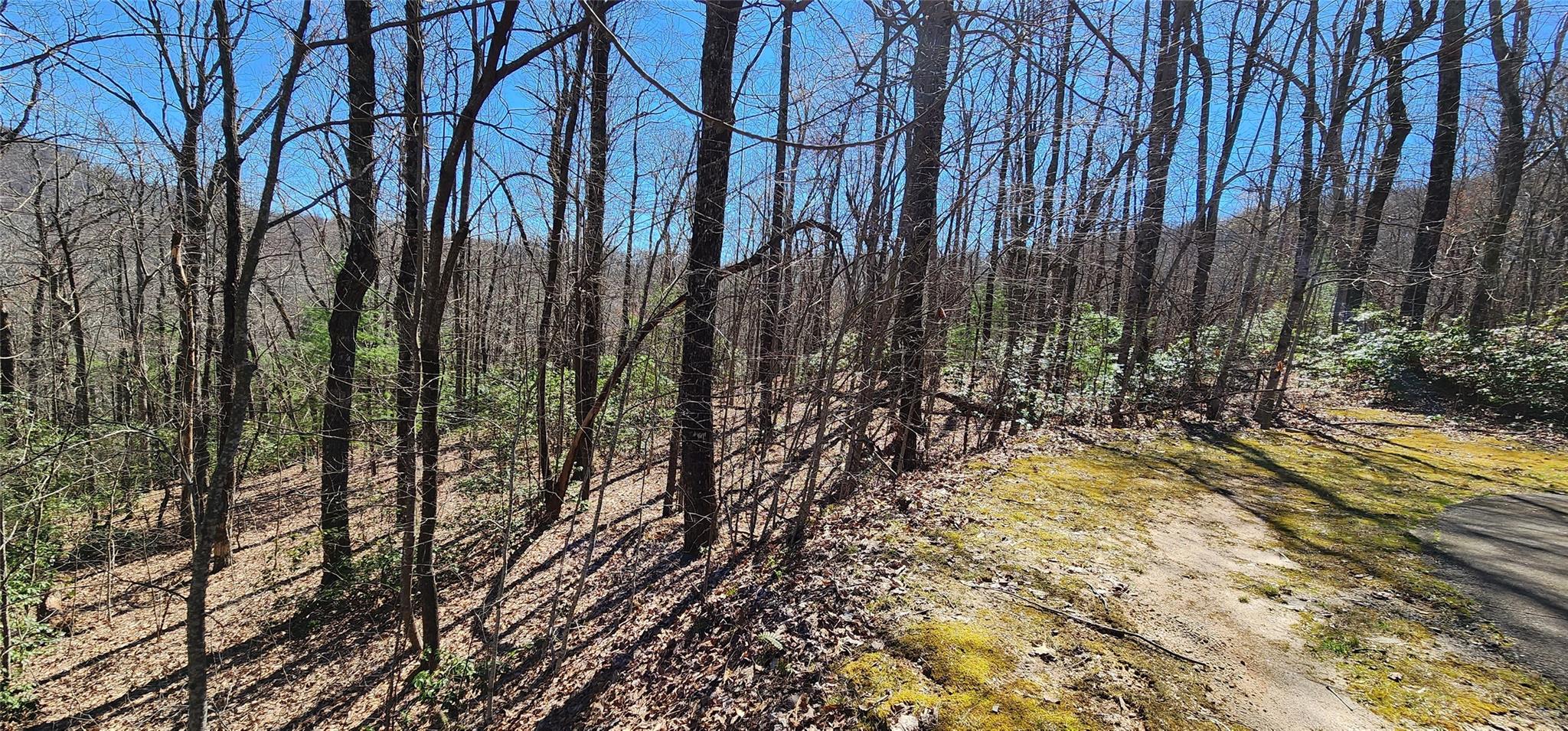 4.17 Acres Spruce Lane 28 Property Photo 28