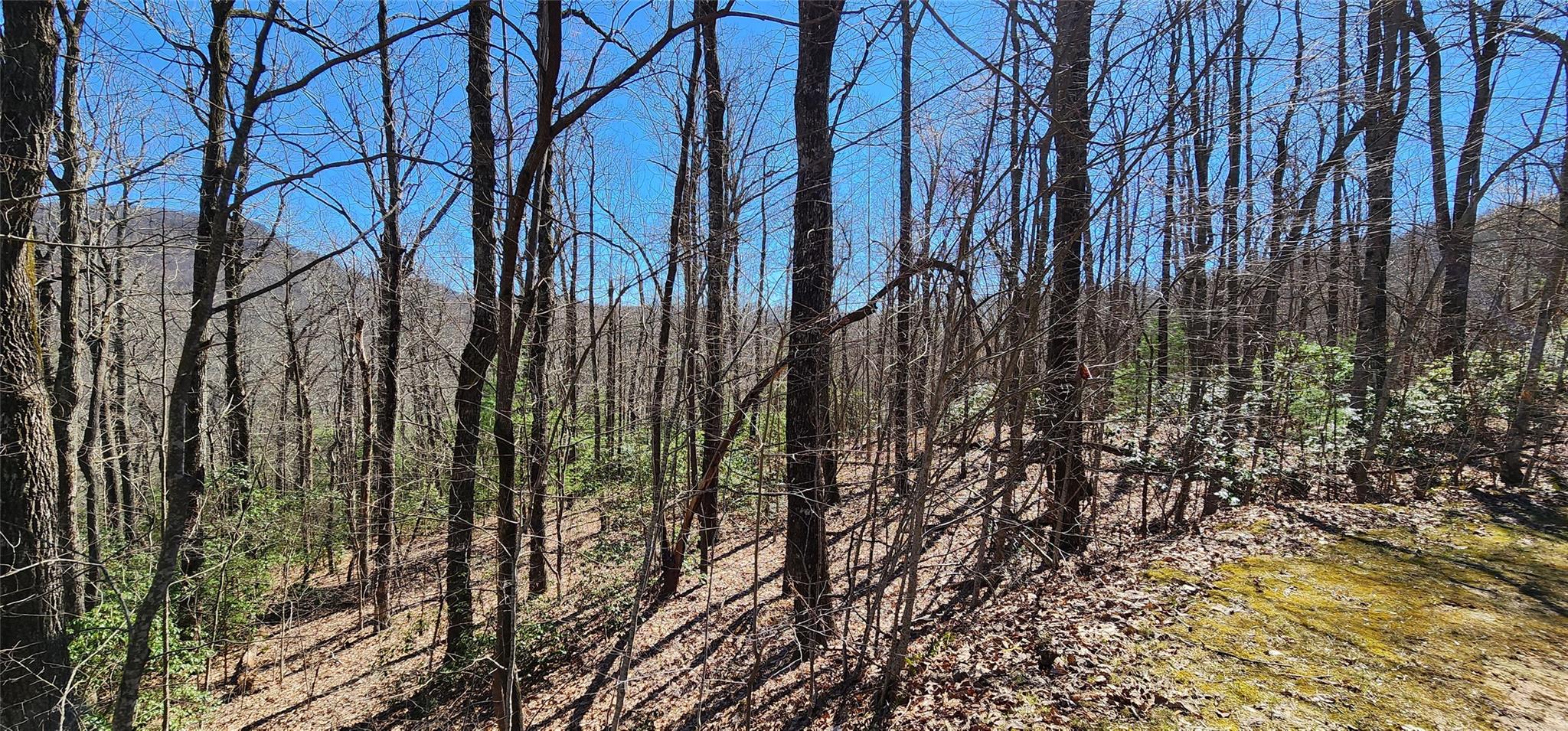 4.17 Acres Spruce Lane 28 Property Photo 29