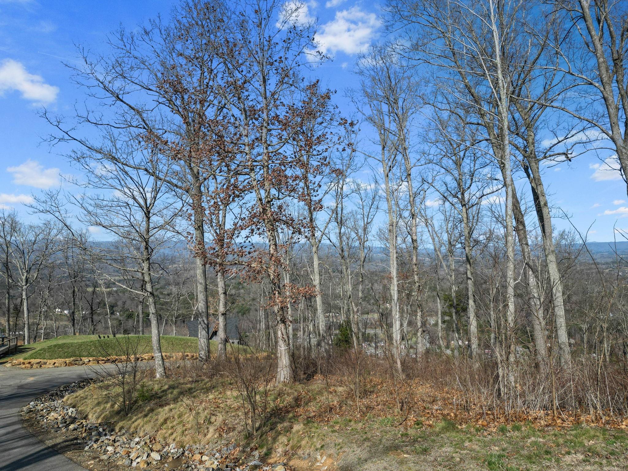 99999 Leisure Mountain Road 4 Property Photo 11