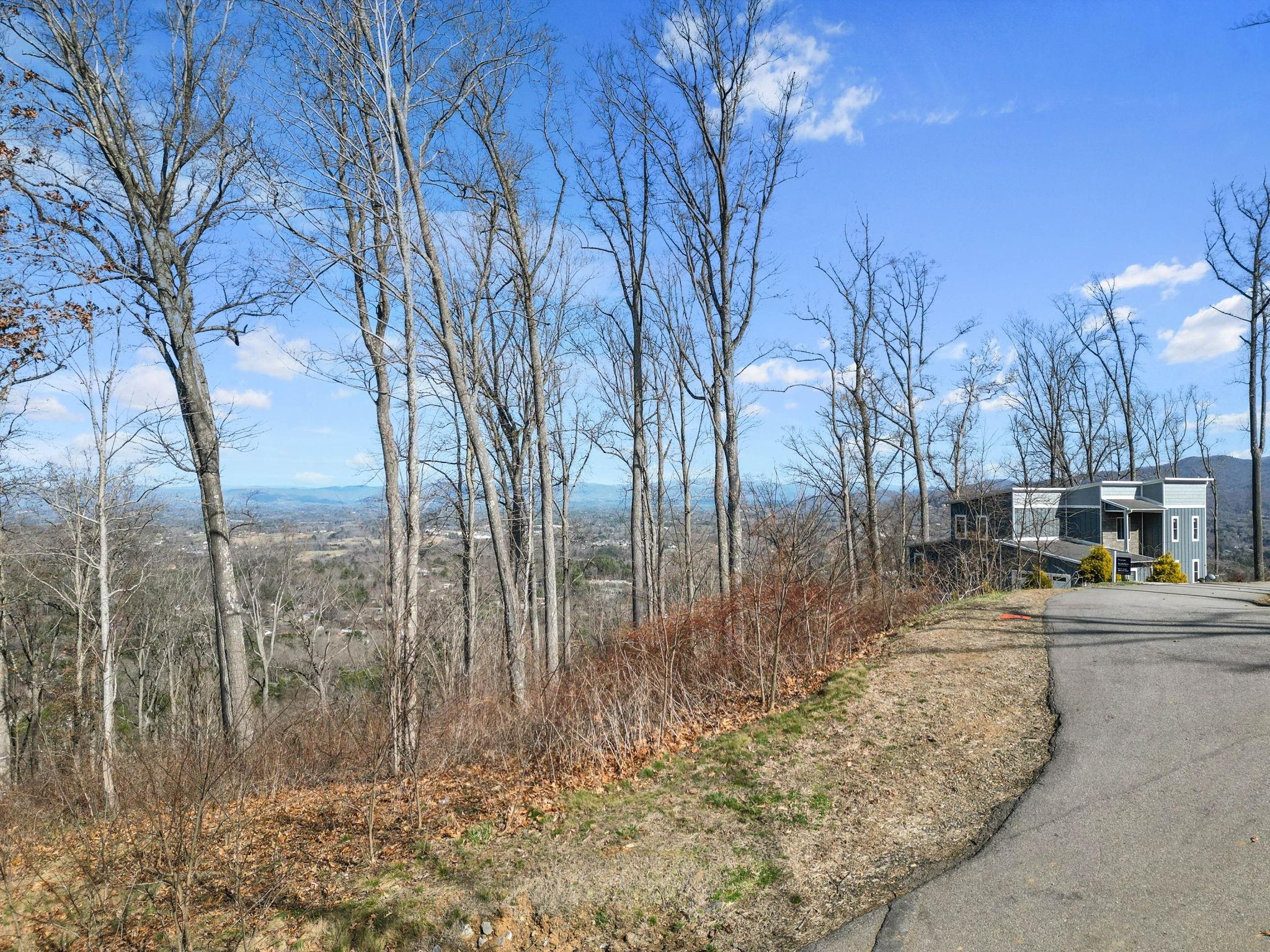 99999 Leisure Mountain Road 4 Property Photo 12
