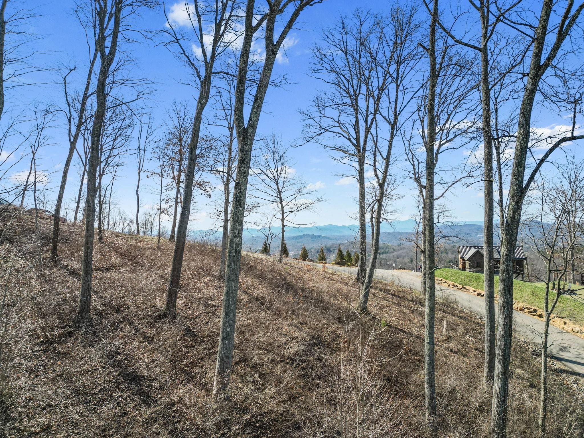 99999 Leisure Mountain Road 4 Property Photo 13
