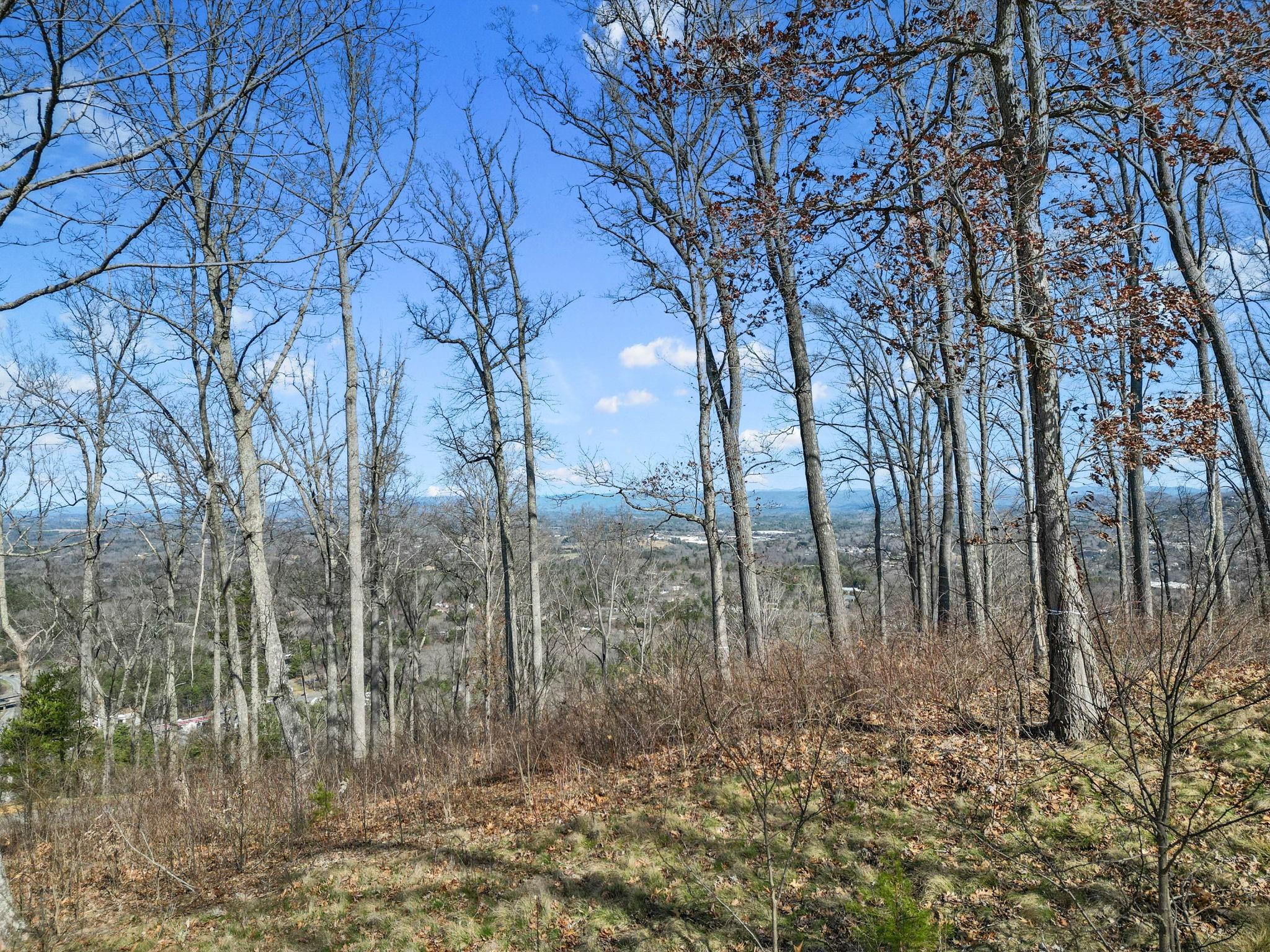 99999 Leisure Mountain Road 4 Property Photo 15