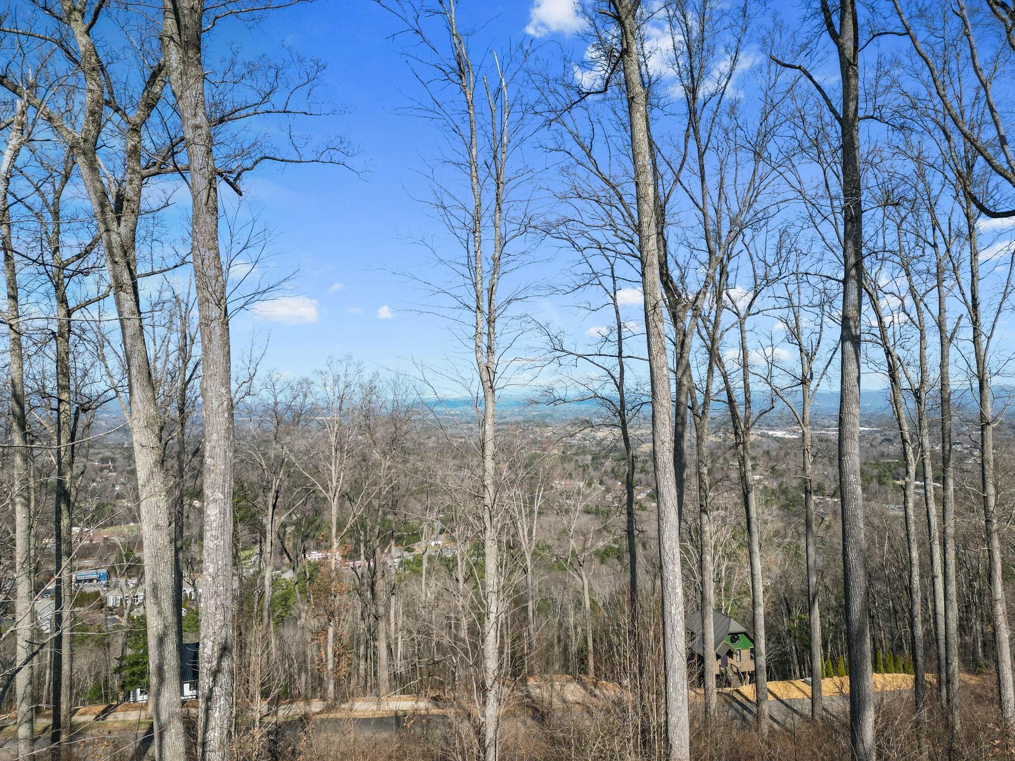 99999 Leisure Mountain Road 4 Property Photo 16