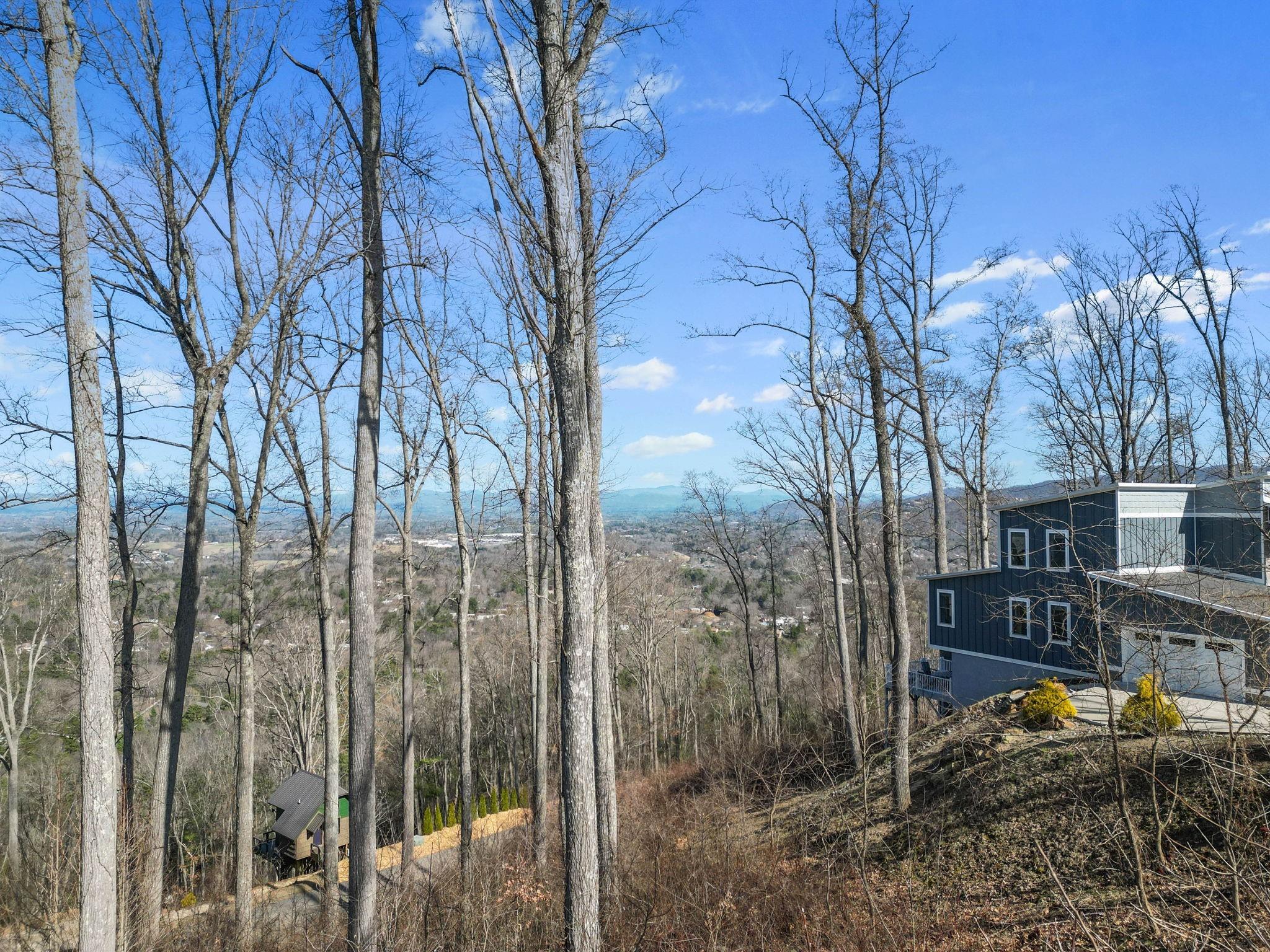 99999 Leisure Mountain Road 4 Property Photo 17