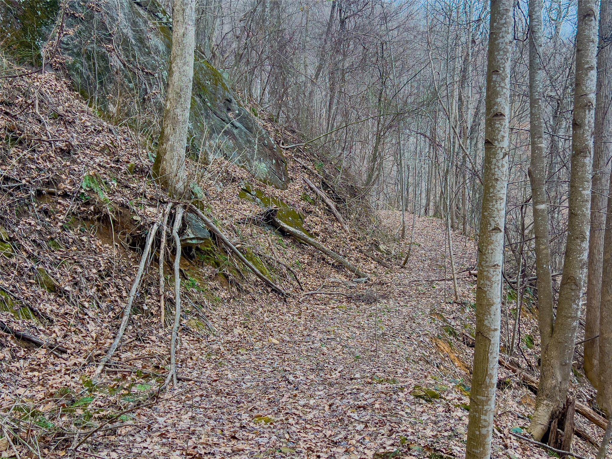 99999 Spillcorn Road Property Photo 10