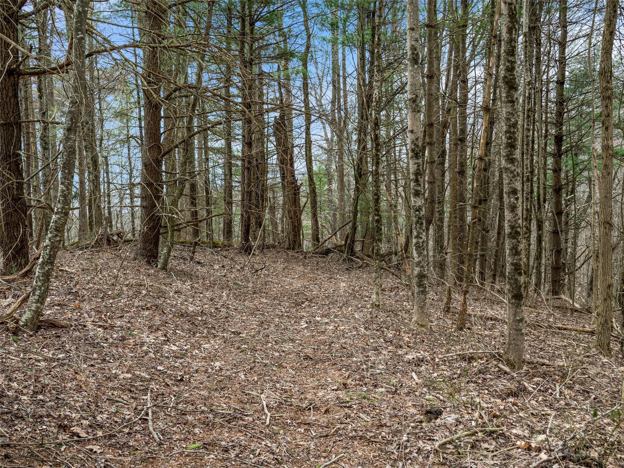 99999 Spillcorn Road Property Photo 17