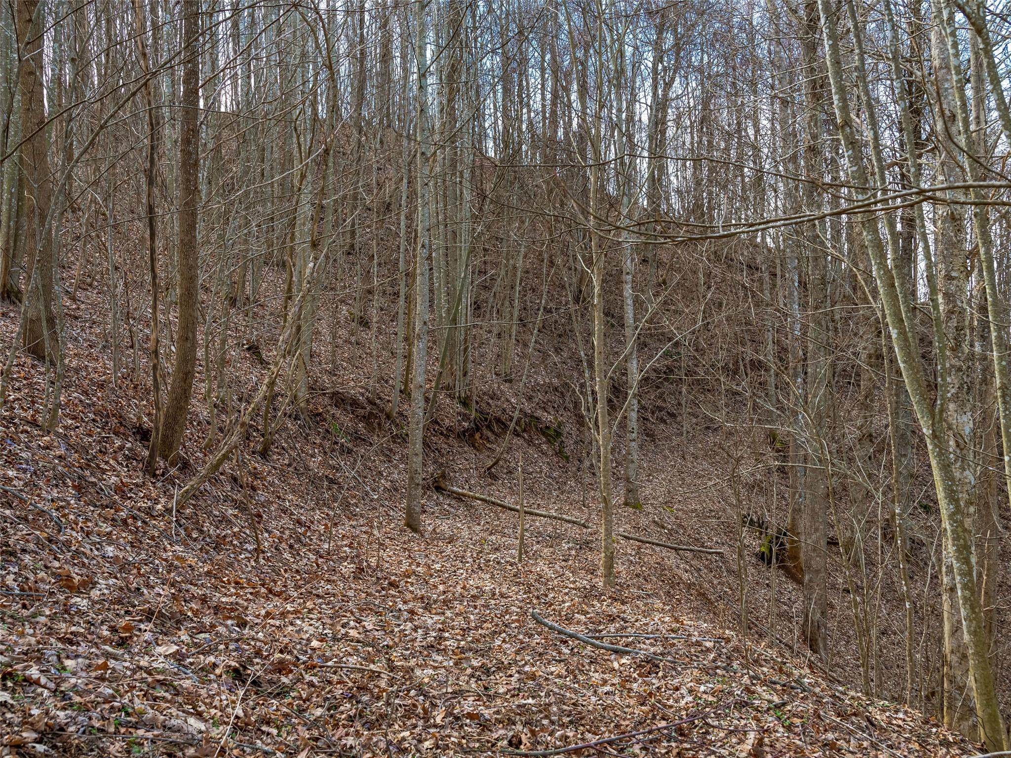 99999 Spillcorn Road Property Photo 18