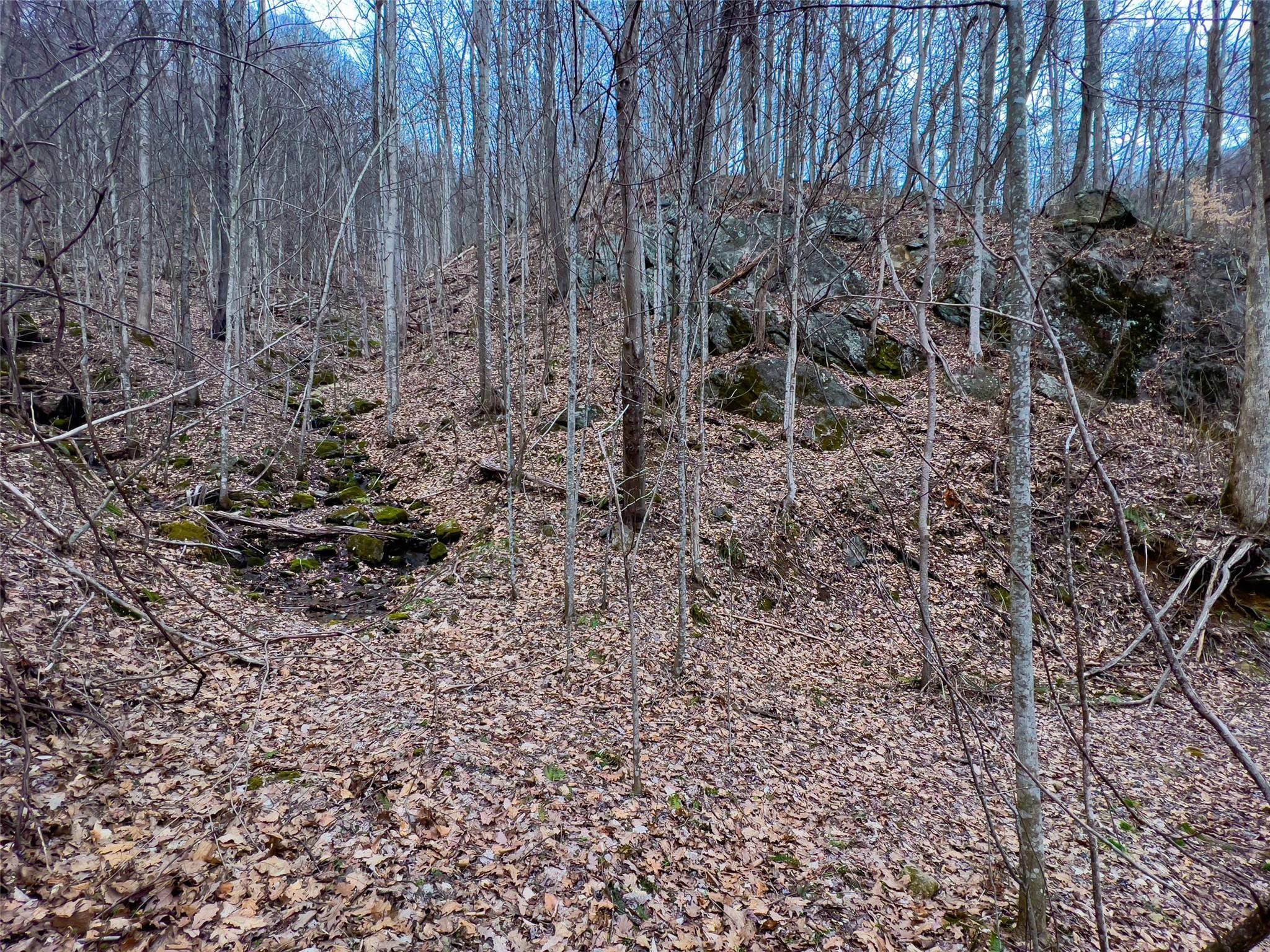99999 Spillcorn Road Property Photo 23
