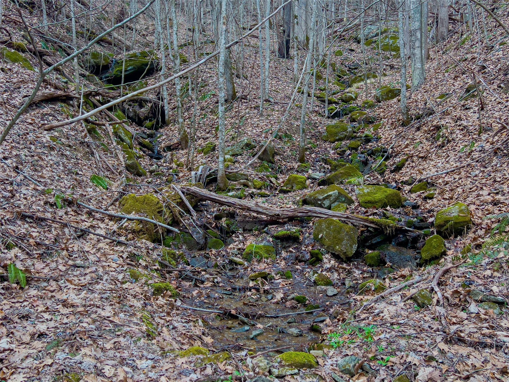 99999 Spillcorn Road Property Photo 25