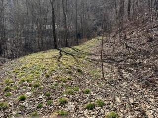 975 Asgi Trail C31 Property Photo 2
