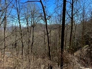 975 Asgi Trail C31 Property Photo 3