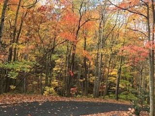 975 Asgi Trail C31 Property Photo 10