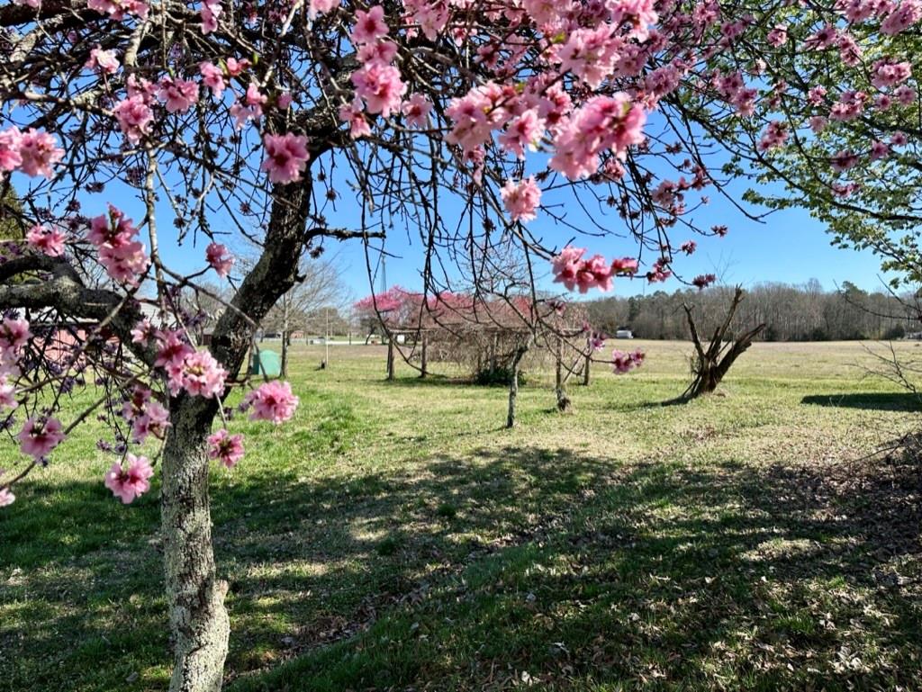 4085 W Nc 152 Highway Property Photo 8