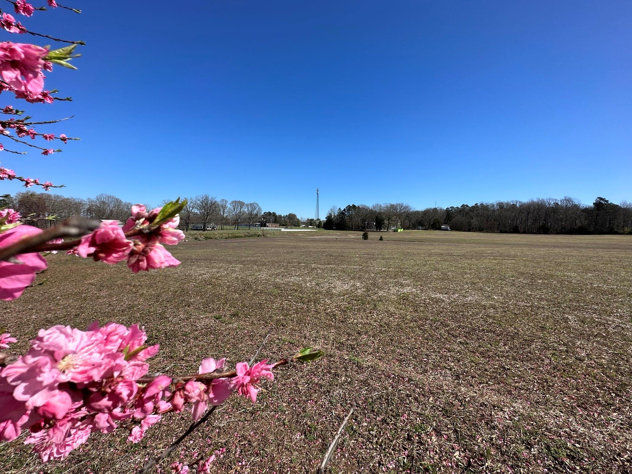 4085 W Nc 152 Highway Property Photo 11