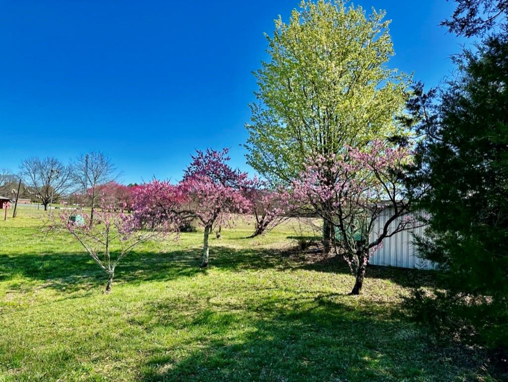 4085 W Nc 152 Highway Property Photo 20