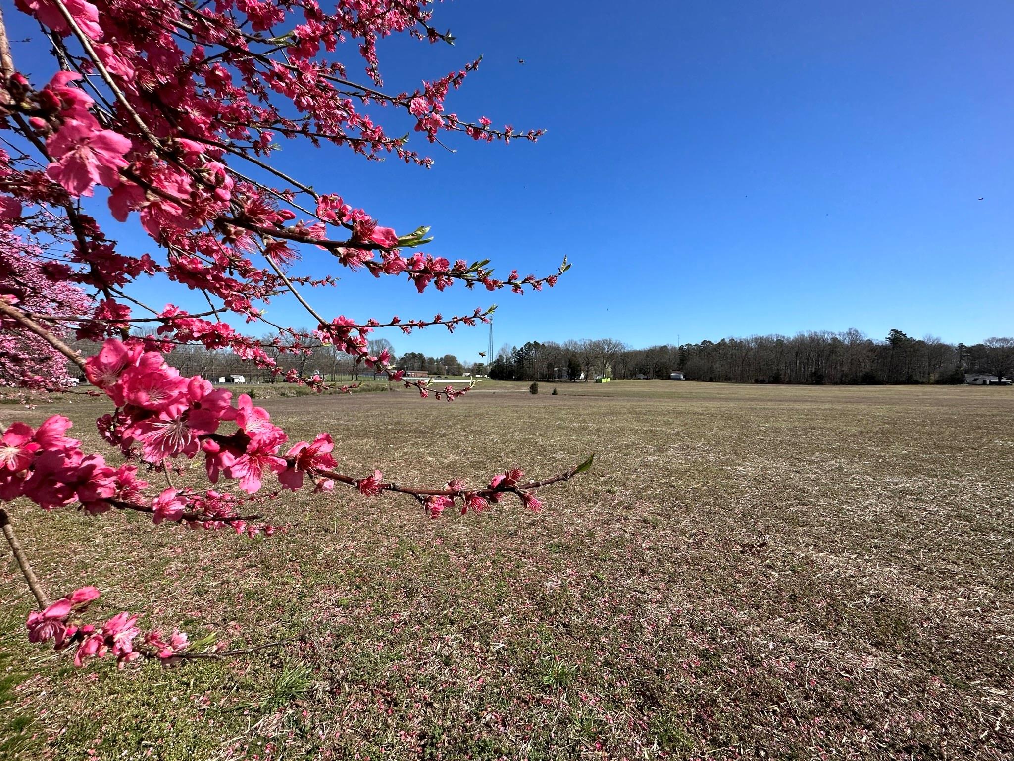 4085 W Nc 152 Highway Property Photo 24