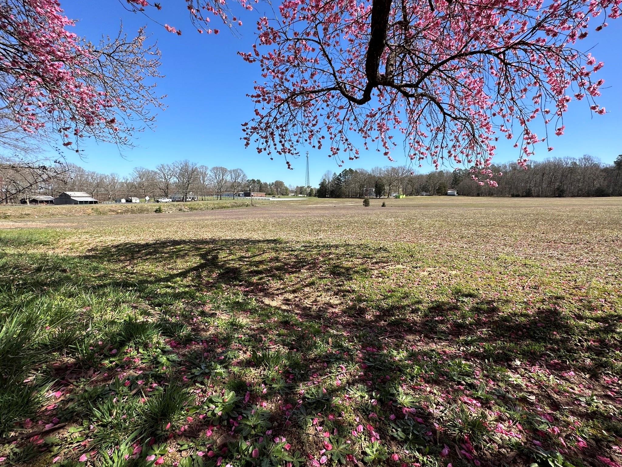 4085 W Nc 152 Highway Property Photo 34