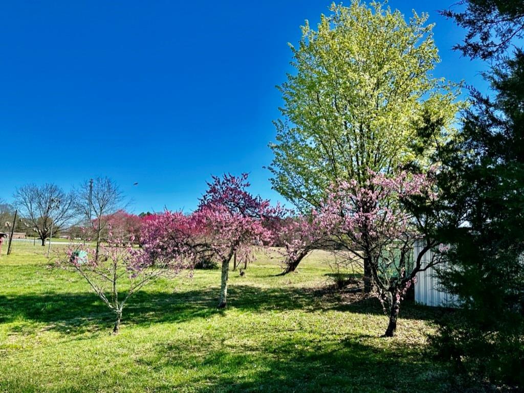 4085 W Nc 152 Highway Property Photo 39