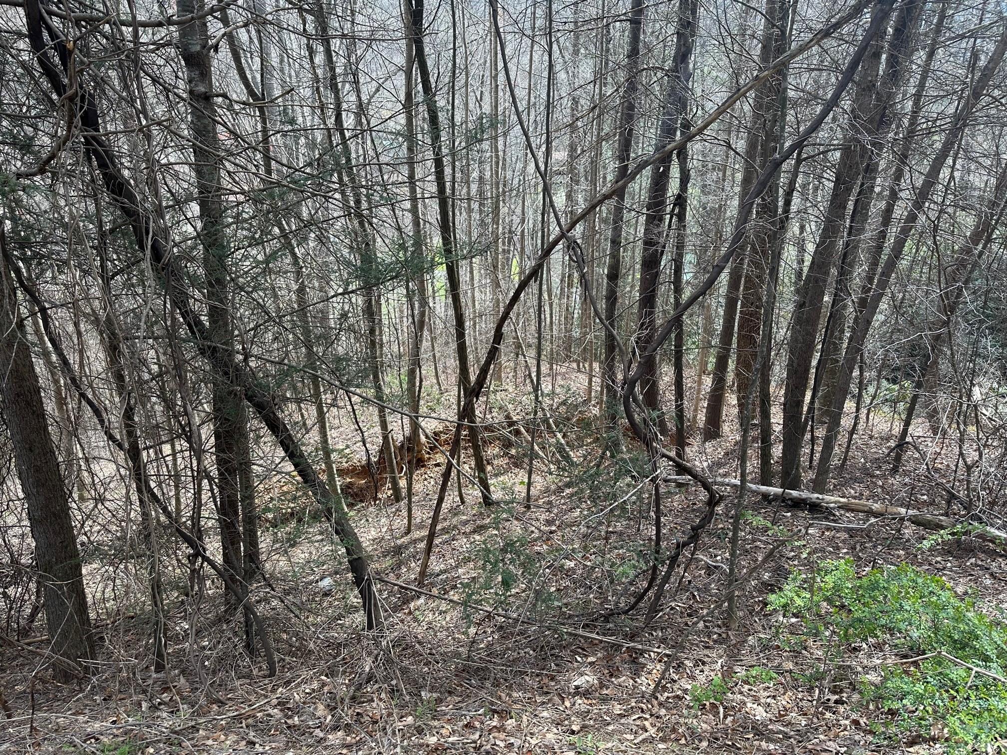 0000 Tuckaway Ridge Drive Property Photo 2