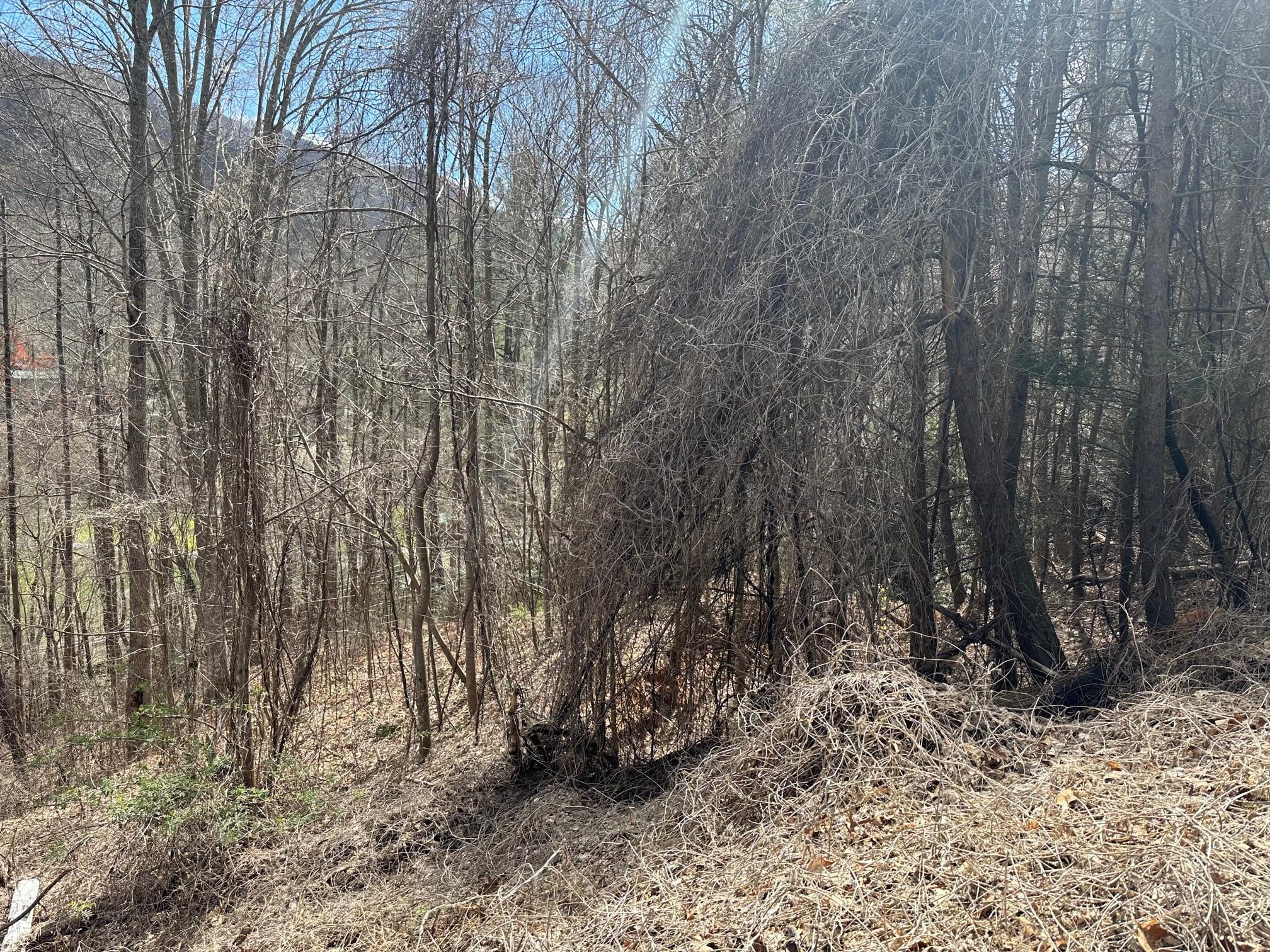 0000 Tuckaway Ridge Drive Property Photo 4