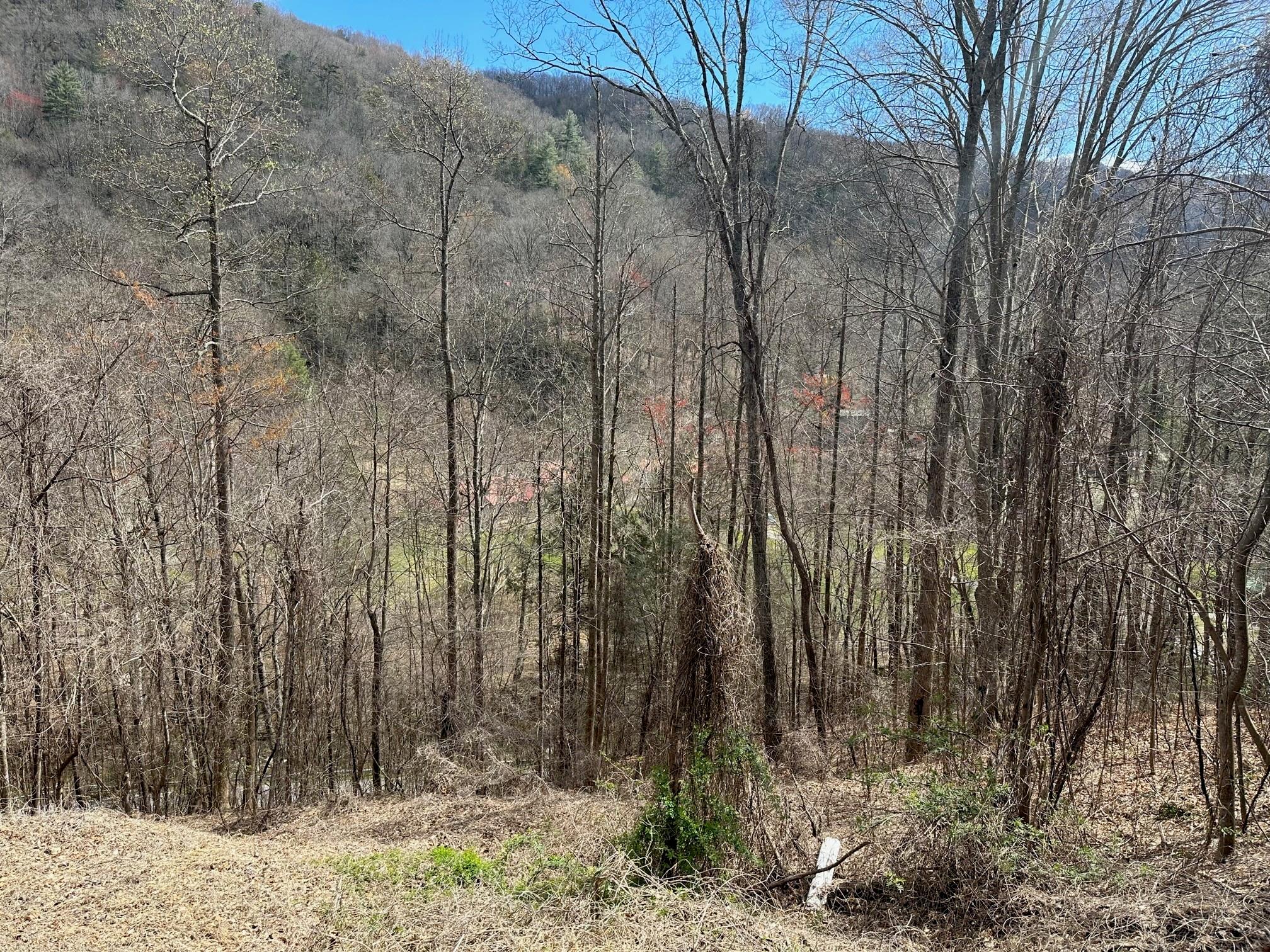 0000 Tuckaway Ridge Drive Property Photo 5