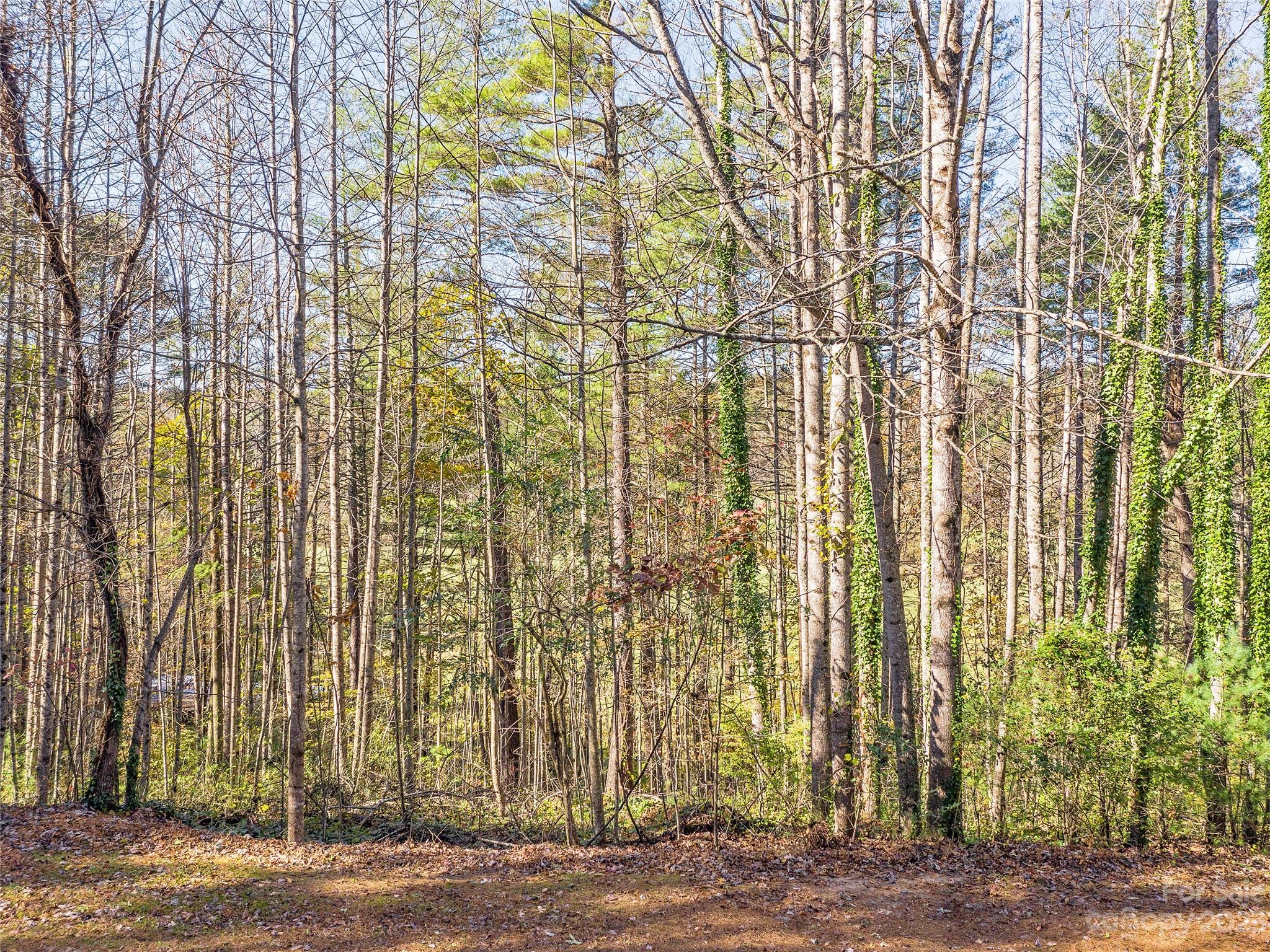 Lot 15 Mountain Lakes Drive Property Photo 7