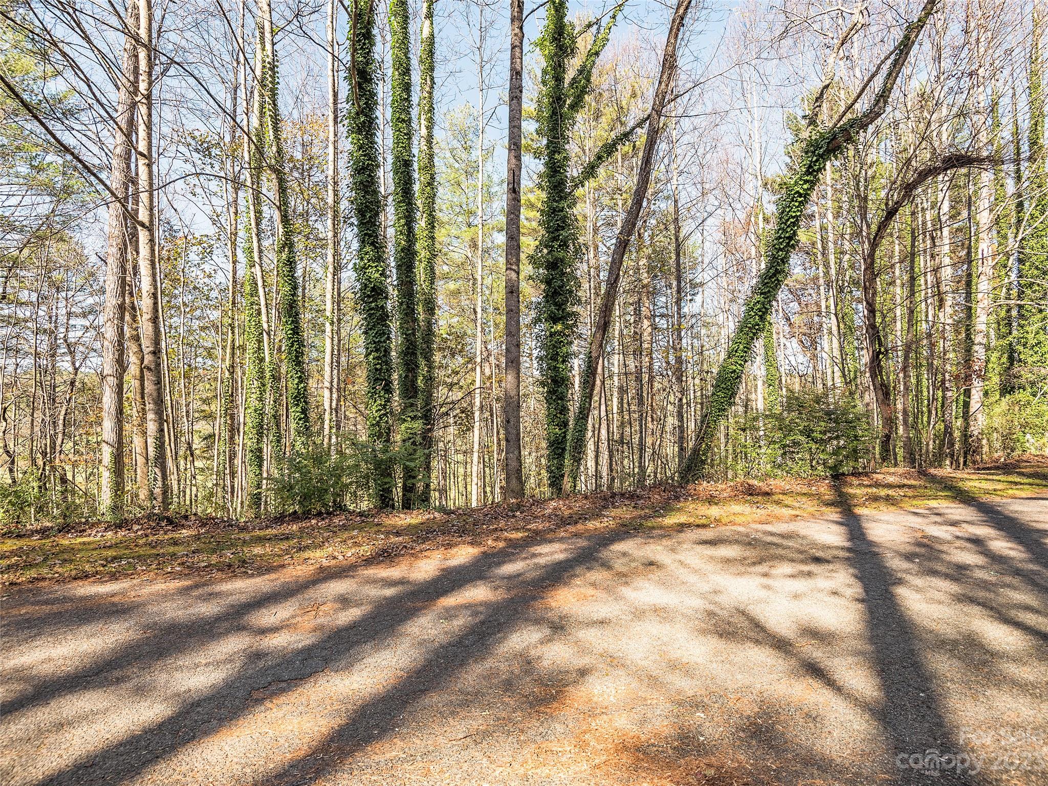 Lot 15 Mountain Lakes Drive Property Photo 8